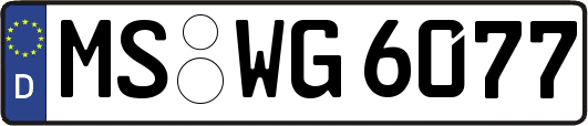 MS-WG6077