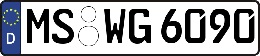 MS-WG6090