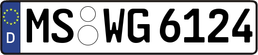 MS-WG6124