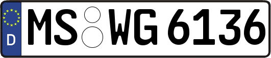 MS-WG6136