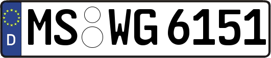 MS-WG6151