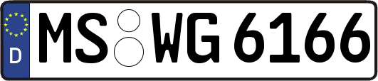 MS-WG6166