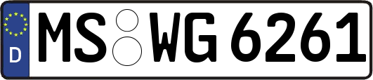 MS-WG6261
