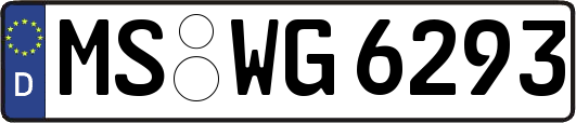 MS-WG6293