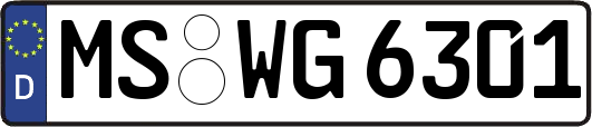 MS-WG6301