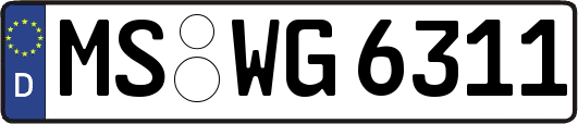 MS-WG6311