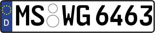 MS-WG6463