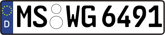 MS-WG6491