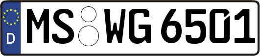 MS-WG6501