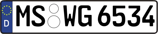 MS-WG6534