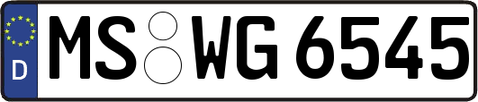 MS-WG6545