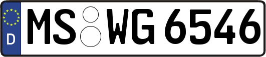 MS-WG6546