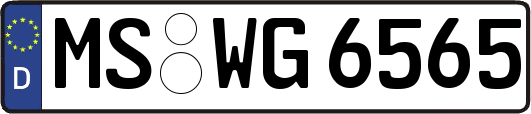 MS-WG6565