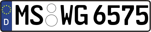 MS-WG6575