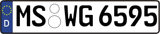 MS-WG6595