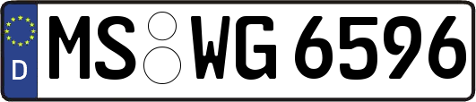 MS-WG6596