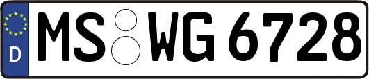 MS-WG6728