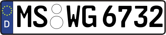 MS-WG6732