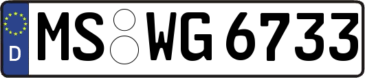 MS-WG6733