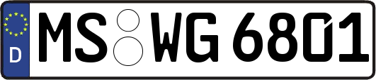 MS-WG6801