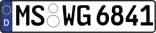 MS-WG6841