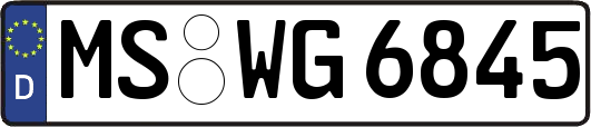 MS-WG6845