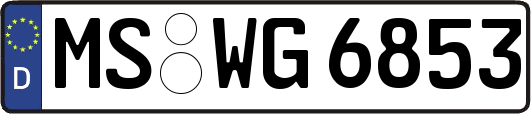 MS-WG6853