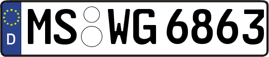 MS-WG6863