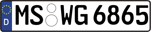 MS-WG6865