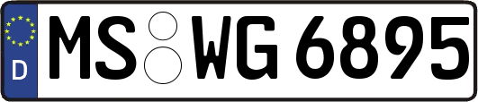 MS-WG6895