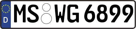 MS-WG6899