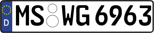 MS-WG6963