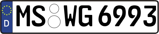 MS-WG6993