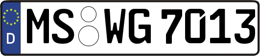MS-WG7013