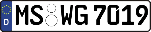 MS-WG7019