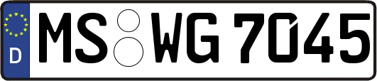 MS-WG7045