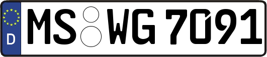 MS-WG7091