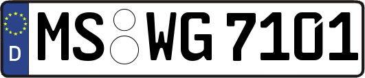 MS-WG7101