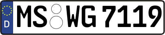 MS-WG7119