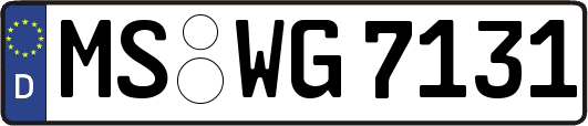 MS-WG7131