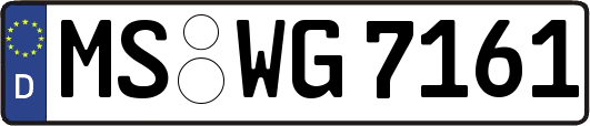 MS-WG7161