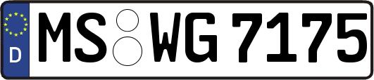 MS-WG7175