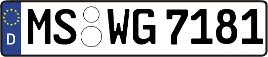MS-WG7181
