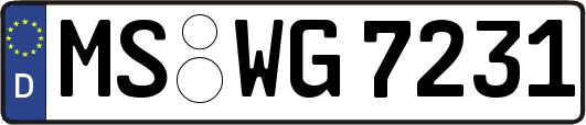 MS-WG7231