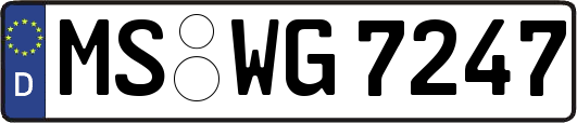 MS-WG7247