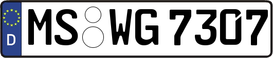 MS-WG7307