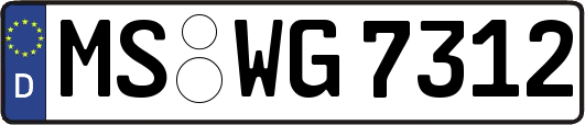 MS-WG7312