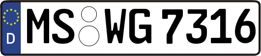 MS-WG7316