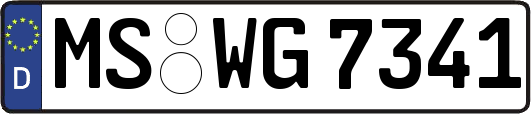 MS-WG7341