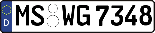 MS-WG7348